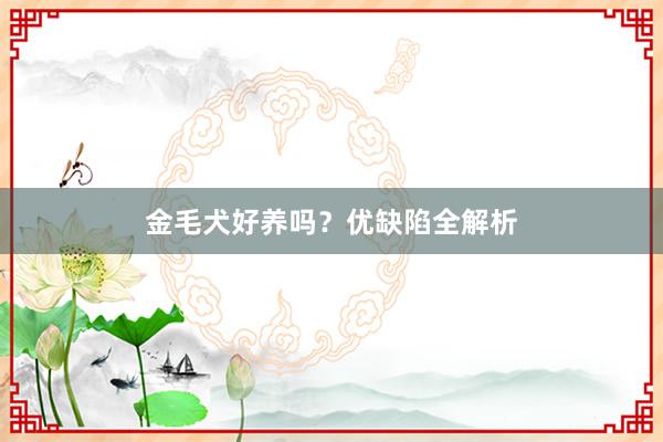 金毛犬好养吗？优缺陷全解析